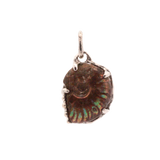 Silver - 67 OOAK Opal Ammonite Pendant