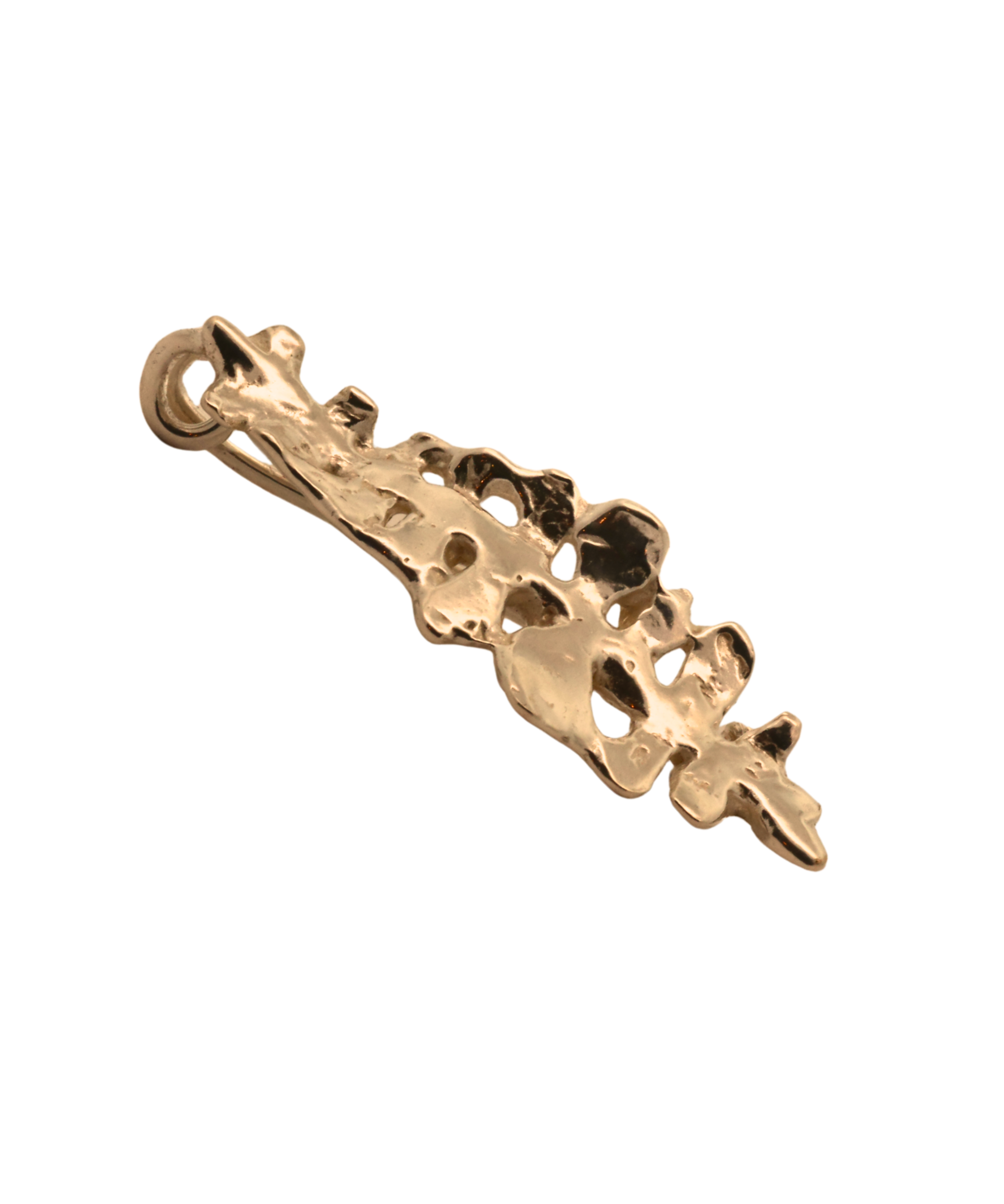 BIG FERN Brooch texture close-up showing lost wax cast detail, 14K Fairmined gold