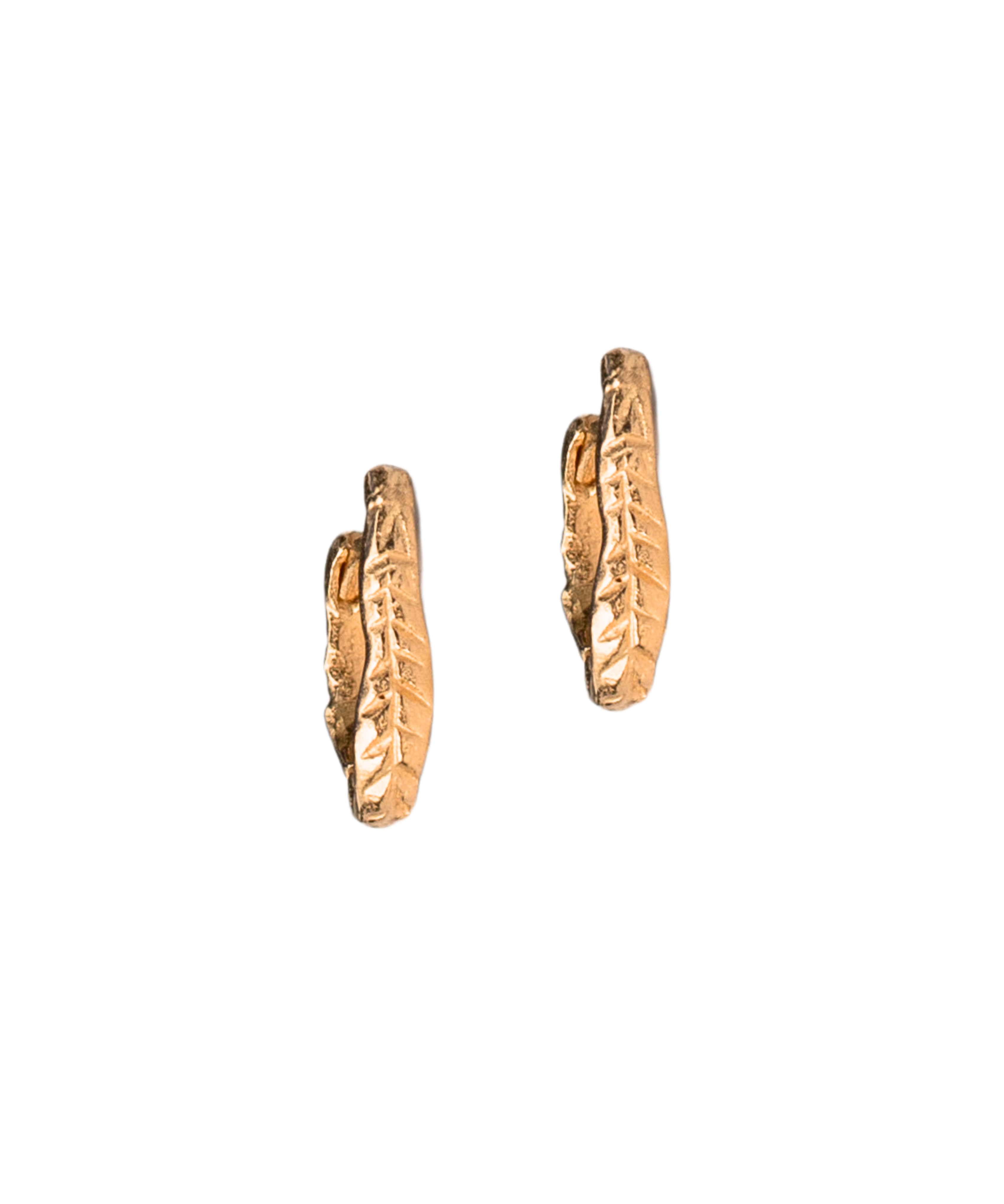Crooked Fern Mini Hoop Earrings in 14K Yellow Fairmined Gold