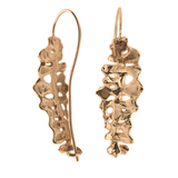 BIG FERN Earrings - 14K Gold